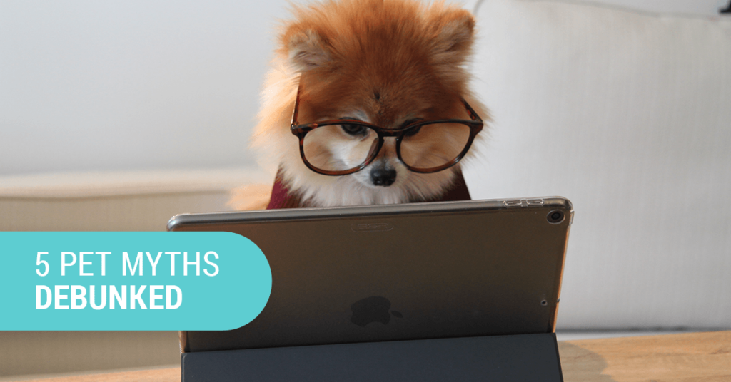 5 Pet Myths Debunked