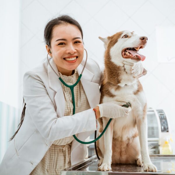 A vet with a dog